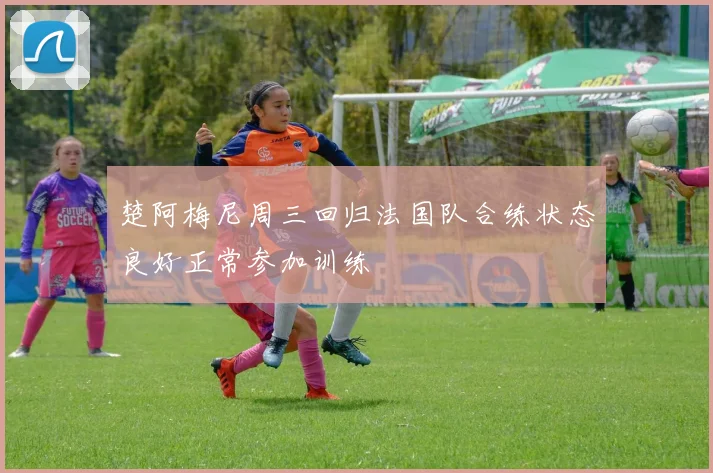 楚阿梅尼周三回归法国队合练状态良好正常参加训练