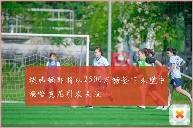 埃弗顿即将以2500万镑签下米堡中场哈克尼引发关注